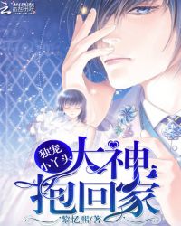 独宠小丫头：大神，抱回家封面